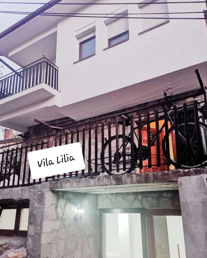 Lake View Apartment Ohrid Eksteriør bilde